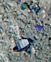 /album/galerie-photos/pourtalet-espagnol-anatase-6254-mod1-jpg1/